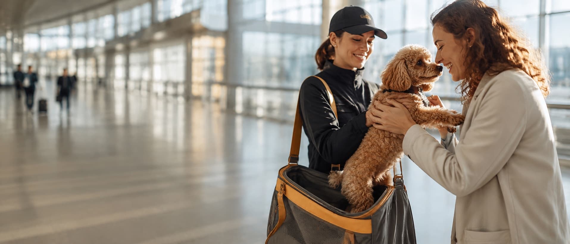 A PETIQ courier handing a small dog over to its owner